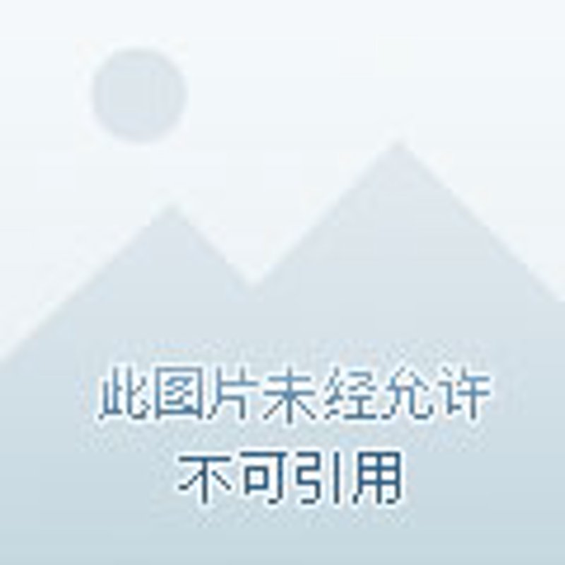 电商运营：打造线上爆款商品的秘籍